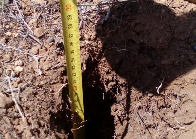 INFORME PERICIAL SIERRA LA MUELA (MURCIA)