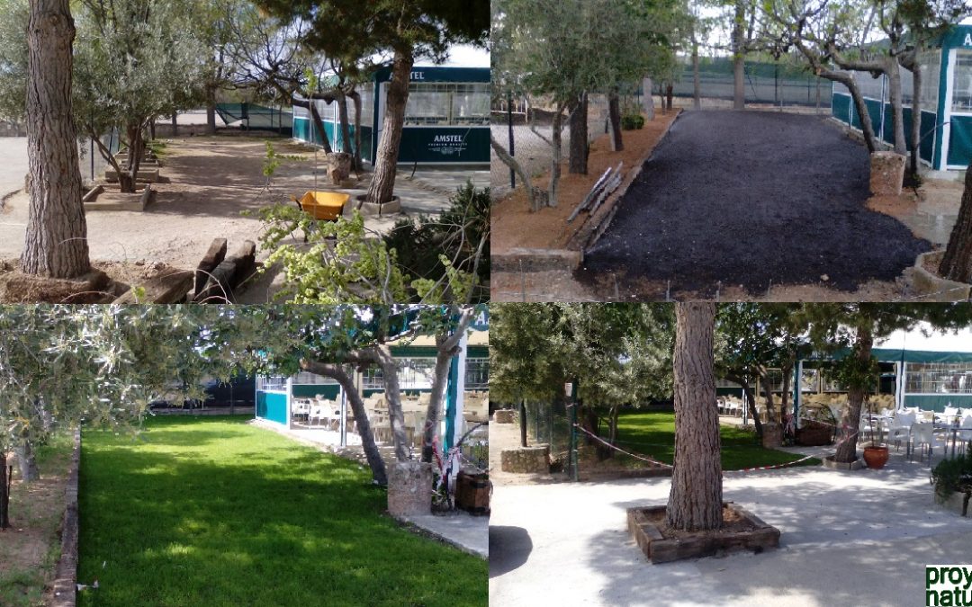 JARDINERÍA Y MANTENIMIENTO DE INSTALACIONES DEL CORTIJO DEL ÁGUILA